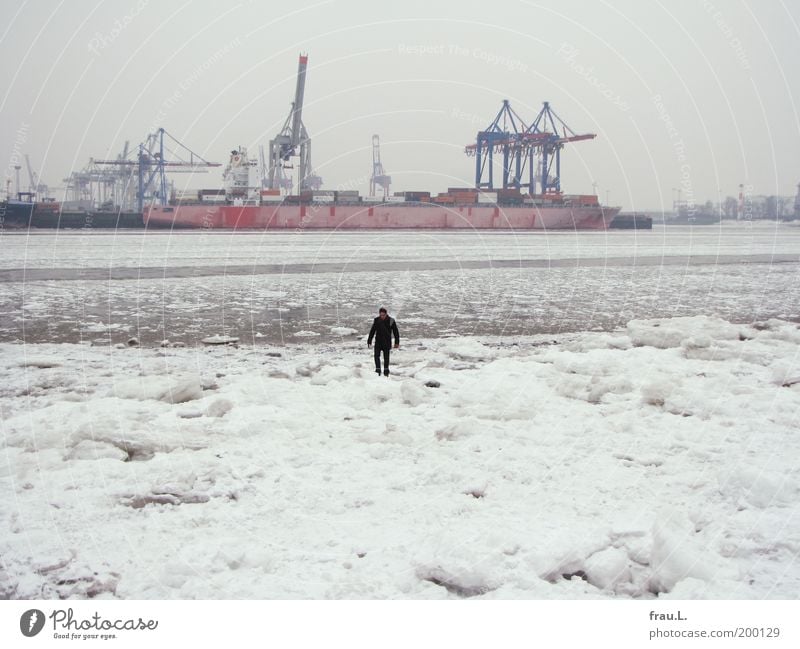 Eiselbe Mensch maskulin Wasser Winter Schnee Flussufer Hafenstadt Schifffahrt Güterverkehr & Logistik Spaziergang Kran Hamburger Hafen Elbe Farbfoto