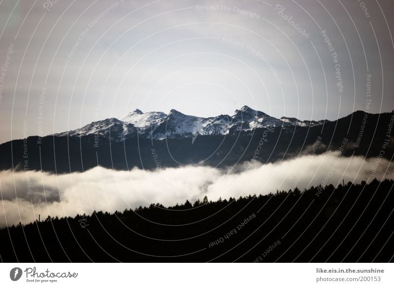 Schwarz- weiß- denkerei Ferien & Urlaub & Reisen Schnee Berge u. Gebirge Himmel Schönes Wetter Wald Hügel Alpen glungezer Schneebedeckte Gipfel ästhetisch