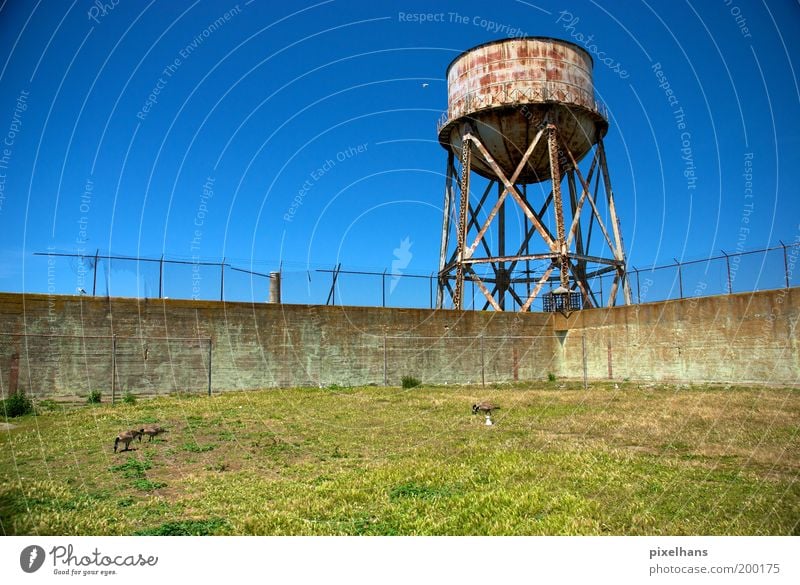 neulich im Garten... Landschaft Himmel Wolkenloser Himmel Sommer Gras Wiese Alcatraz San Francisco Kalifornien USA Menschenleer Wasserturm Mauer Wand Zaun Rost