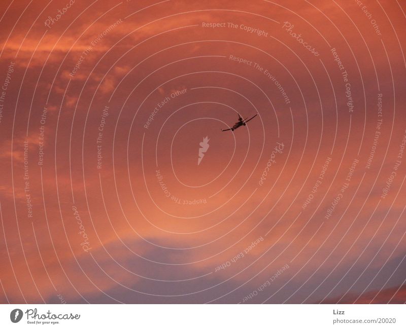 Flugzeug Luftverkehr Gewitter Wolkenglühen dramatisch