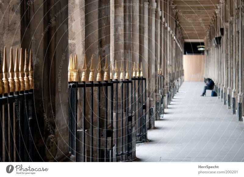 Palais Royal 1 Mensch Paris Gebäude Architektur Säule Zaun Sehenswürdigkeit Wahrzeichen braun gold grau schwarz ruhig Perspektive Gang Farbfoto Gedeckte Farben