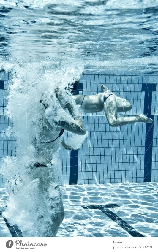 abtauchen Schwimmen & Baden Ferien & Urlaub & Reisen Tourismus Sommer Sommerurlaub Sport Wassersport Schwimmbad Mensch feminin Junge Frau Jugendliche Erwachsene