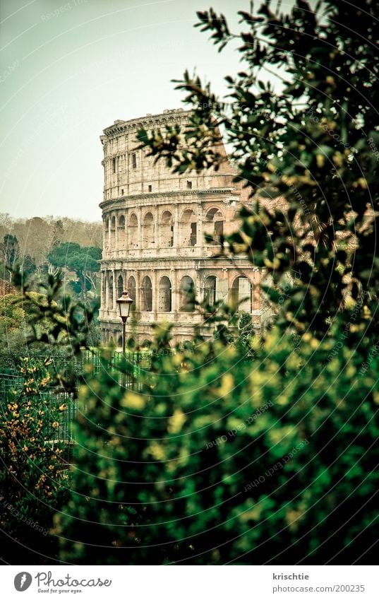 colloseum Stadtzentrum Bauwerk Fassade Sehenswürdigkeit Colloseum Stein Ferien & Urlaub & Reisen Farbfoto Außenaufnahme Menschenleer Dämmerung Licht