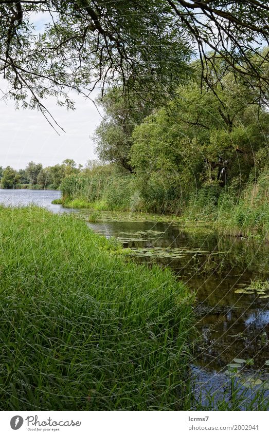 güner See Sommer Natur Klima Brandenburg calm countryside cross day green Havel Havelland havelradweg landscape natural nobody reflection river rural scenery