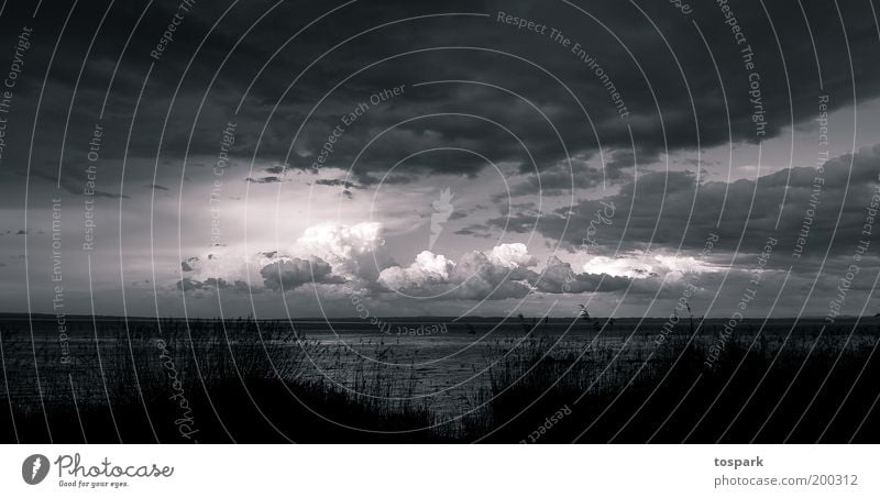 Regen kommt Freiheit Umwelt Natur Landschaft Urelemente Luft Himmel Wolken Gewitterwolken Sonnenlicht Wetter schlechtes Wetter Unwetter Sturm Seeufer Bodensee