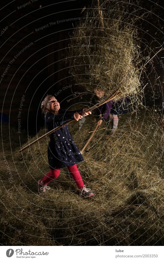 Heuarbeit 2 Freizeit & Hobby Arbeit & Erwerbstätigkeit Landwirtschaft Forstwirtschaft Mensch 3-8 Jahre Kind Kindheit Forke Farbfoto Innenaufnahme