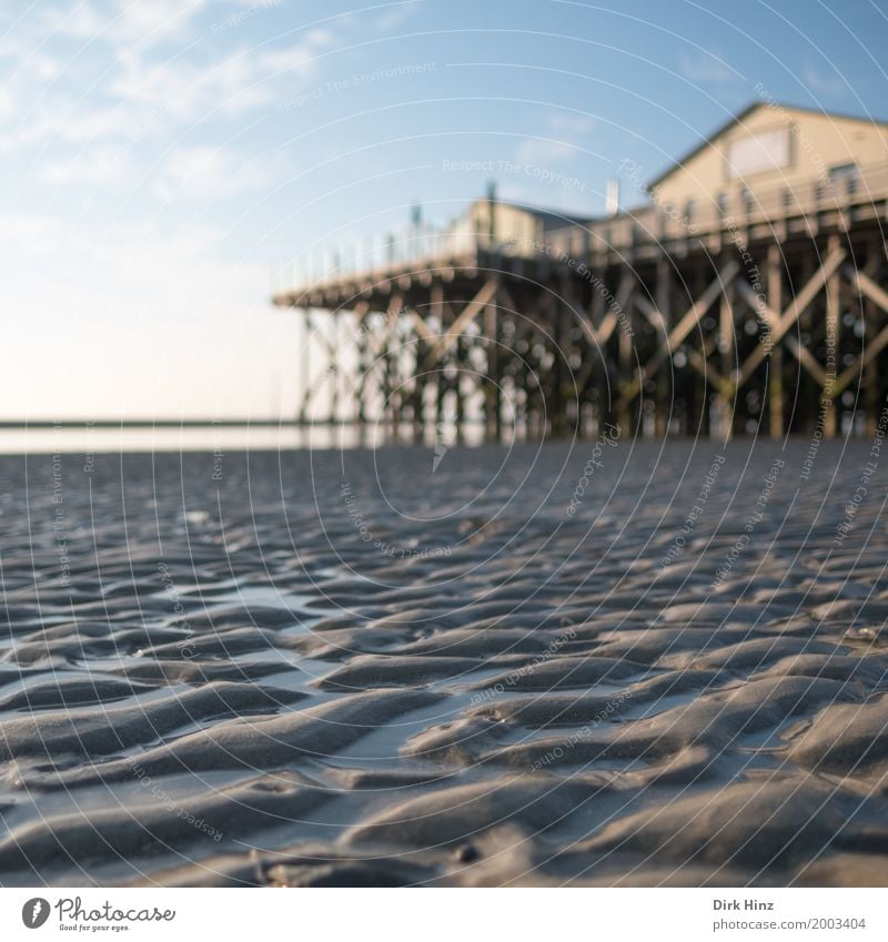 Wattenmeer in St. Peter Ording Erholung Kur Ferien & Urlaub & Reisen Tourismus Ausflug Ferne Freiheit Sonne Strand Meer Umwelt Natur Sand Schönes Wetter Küste