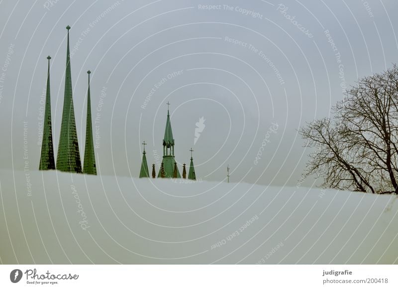 Erfurt Himmel Winter Schnee Baum Park Hügel Stadt Menschenleer Haus Kirche Dom Bauwerk Gebäude Architektur Dach Sehenswürdigkeit kalt Spitze Erwartung