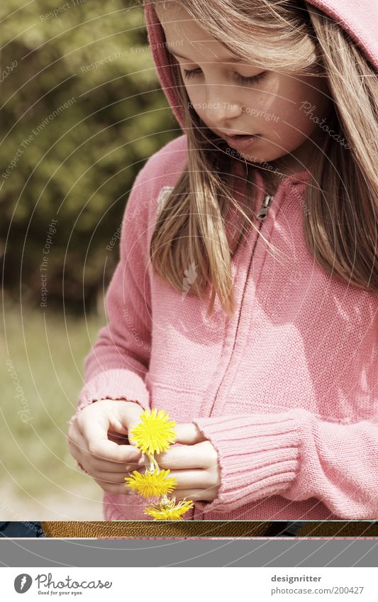 Blumenkind schön Freizeit & Hobby Basteln Handarbeit Kind Mädchen Umwelt Natur Pflanze Blüte Wildpflanze Löwenzahn Unkraut Blühend verblüht wild geduldig