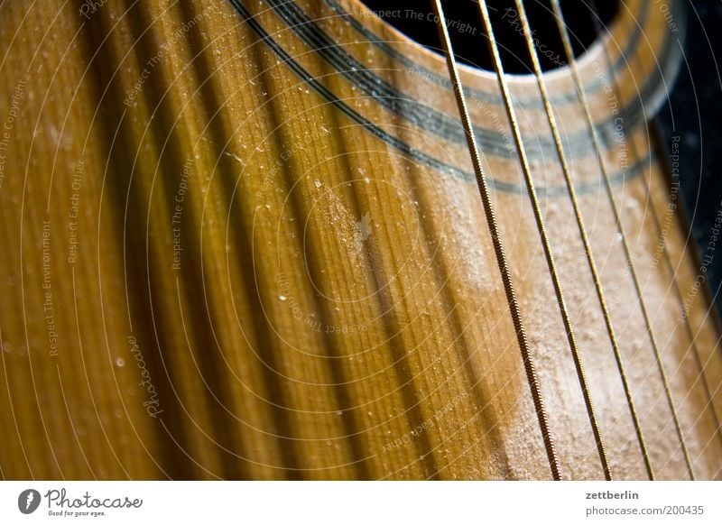 Sechs Saiten, sechs Schatten Gitarre Musikinstrument Saiteninstrumente decke schalloch intarsien Zupfinstrumente folk folkmusik Volksmusik volkslied