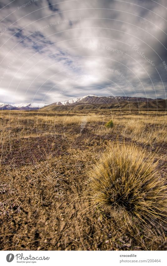 New Zealand 45 Umwelt Natur Landschaft Erde Wolken Gewitterwolken Horizont Klimawandel Wetter schlechtes Wetter Unwetter Wind Pflanze Gras Sträucher Wiese Feld