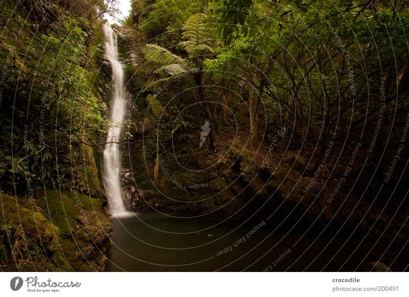 New Zealand 59 Umwelt Natur Landschaft Urelemente Wald Urwald Hügel Felsen Teich Wasserfall außergewöhnlich Lebensfreude ästhetisch Zufriedenheit Erholung