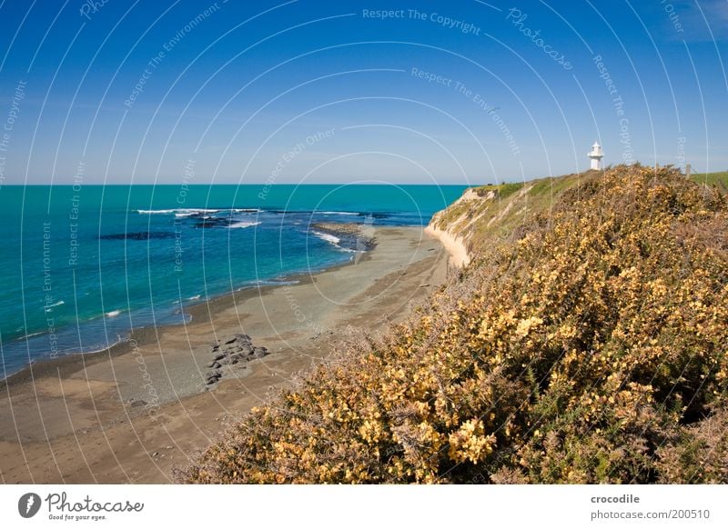 New Zealand 65 Umwelt Natur Landschaft Urelemente Sand Wasser Horizont Schönes Wetter Wiese Hügel Felsen Wellen Küste Strand Riff Leuchtturm außergewöhnlich