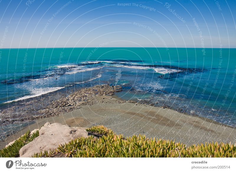 New Zealand 68 Umwelt Natur Landschaft Urelemente Erde Sand Wasser Himmel Wolkenloser Himmel Schönes Wetter Pflanze Gras Sträucher Wildpflanze Hügel Felsen