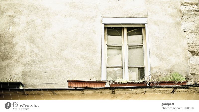 le marais Paris Frankreich Haus Gebäude Architektur Mauer Wand Fassade Fenster Blumenkasten Fensterbrett frei grau grün Leben Vergangenheit Vergänglichkeit