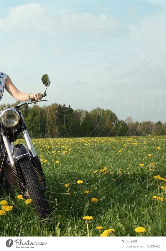 Motorbiene Lifestyle Freizeit & Hobby Mensch Natur Himmel Wolken Frühling Schönes Wetter Gras Wiese Wald Motorrad Freiheit Nostalgie Pause