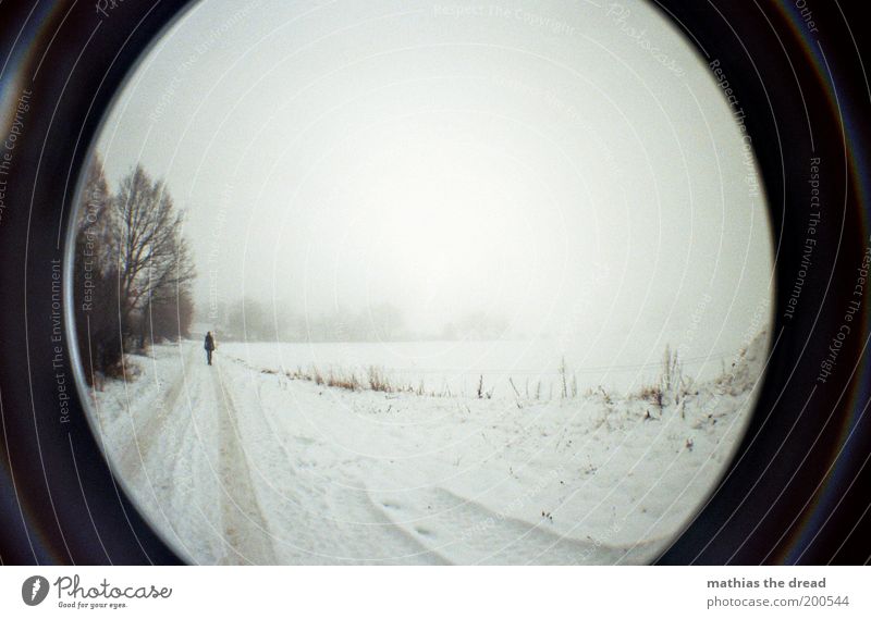 EISIGER RÜCKBLICK Ausflug Winter Schnee Winterurlaub Mensch Umwelt Natur Landschaft Himmel Horizont schlechtes Wetter Nebel Eis Frost Baum Feld frieren gehen