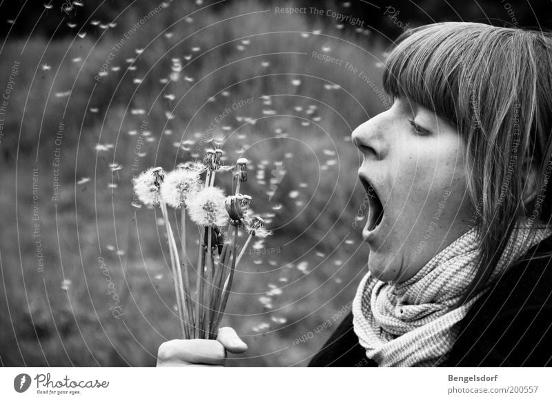 Aus Löwenzahn wird Pusteblume Mensch feminin Frau Erwachsene Gesicht Mund Hand 1 Natur Pflanze Frühling Sommer Blume Blühend blasen Samen niesen Kitzel