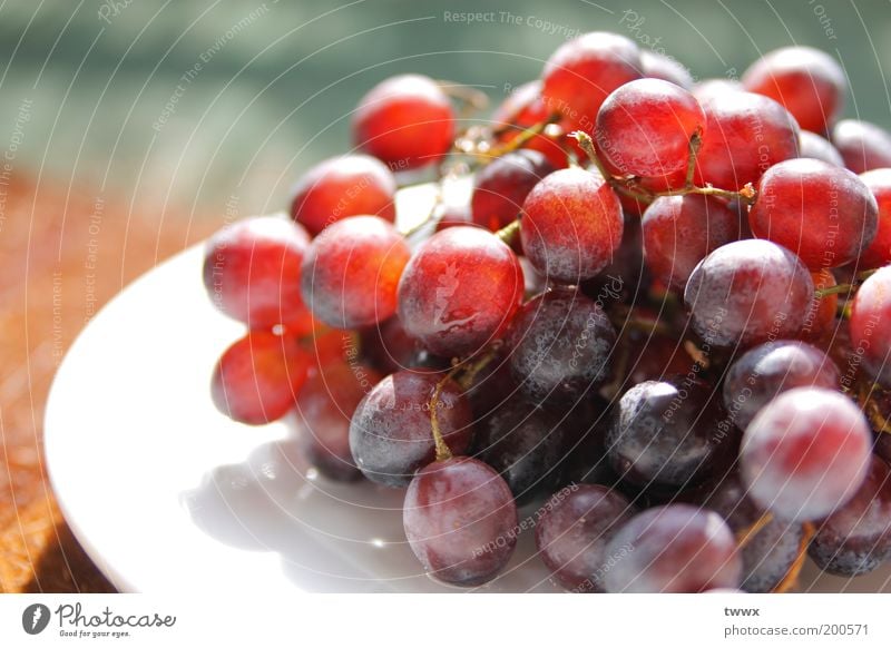 Traub Dich! Lebensmittel Frucht Weintrauben Picknick Teller Diät frisch Gesundheit glänzend rund saftig blau mehrfarbig rot ruhig Farbe Wellness Vitamin süß