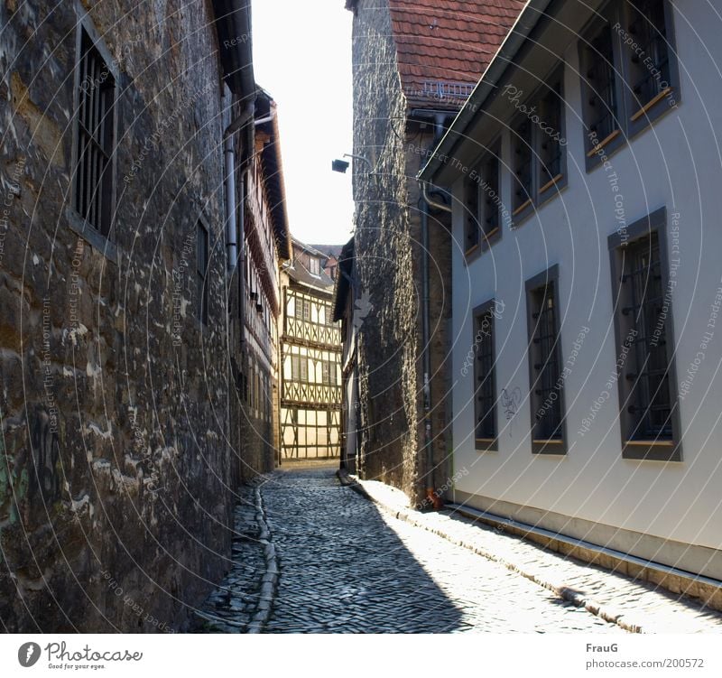 Durch diese enge Gasse wird er kommen... Haus Sonnenlicht Stadtzentrum Altstadt Menschenleer Gebäude Mauer Wand Fenster Straße Kopfsteinpflaster alt historisch