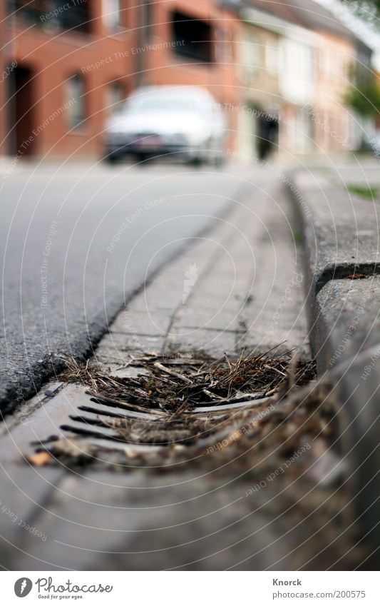 Straßengulli Gully dreckig Kleinstadt Vergänglichkeit Farbfoto Gedeckte Farben Außenaufnahme Abend Schwache Tiefenschärfe Froschperspektive PKW Bordsteinkante