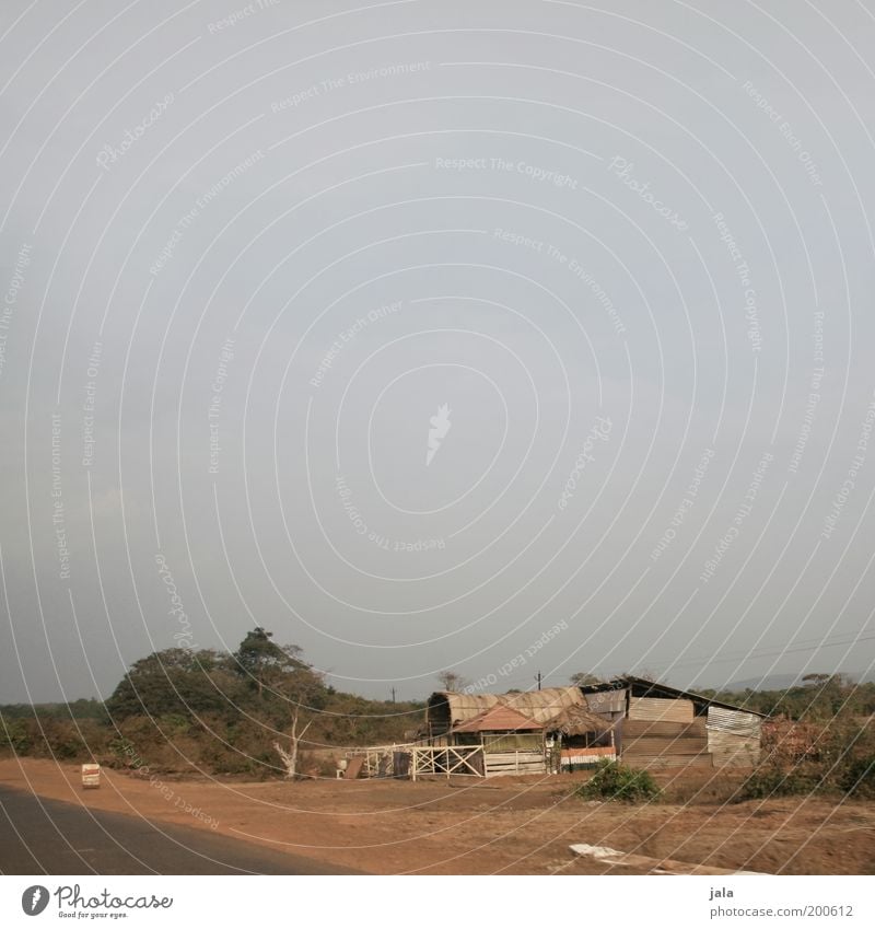 Behausung Natur Sommer Pflanze Indien Goa Haus Hütte Bauwerk Armut einfach trocken Ödland Farbfoto Außenaufnahme Menschenleer Textfreiraum oben