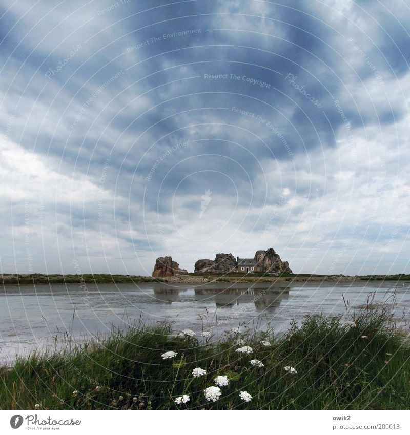 Traumhaus Ferien & Urlaub & Reisen Tourismus Ausflug Ferne Freiheit Umwelt Natur Landschaft Pflanze Himmel Wolken Klima Schönes Wetter Blume Gras Sträucher