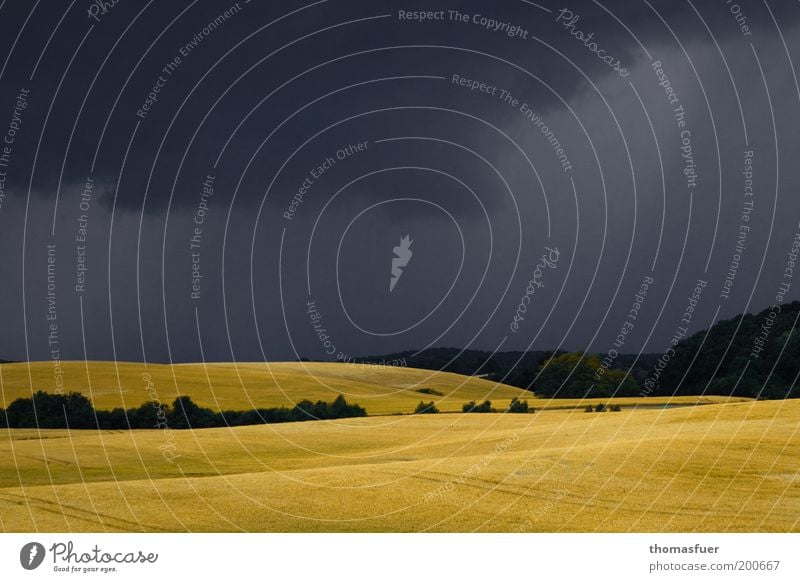 Hochsommer mit Tief Ferien & Urlaub & Reisen Sommerurlaub Urlaub auf dem Lande Landschaft Urelemente Erde Gewitterwolken Wetter Unwetter Regen Getreide Kornfeld