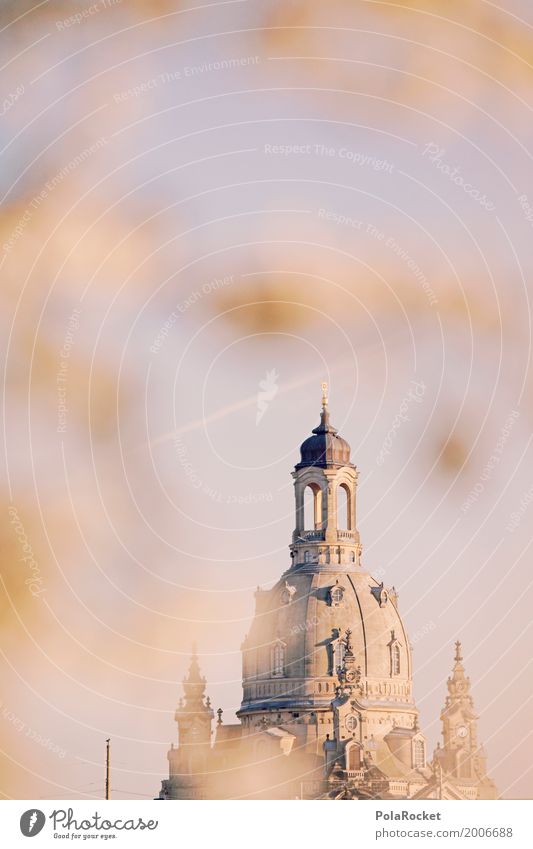 #A# Dresden im Frühling I Kunst ästhetisch Frauenkirche Barock Barockgarten Frühlingstag Frühlingsfarbe Frühlingsfest Kuppeldach Turm Himmel Blühend Elbufer