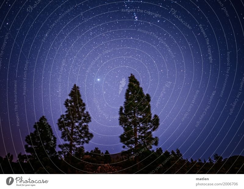 Venushügel Natur Landschaft Himmel Wolkenloser Himmel Stern Schönes Wetter Baum Berge u. Gebirge blau schwarz weiß Farbfoto Gedeckte Farben Außenaufnahme Muster