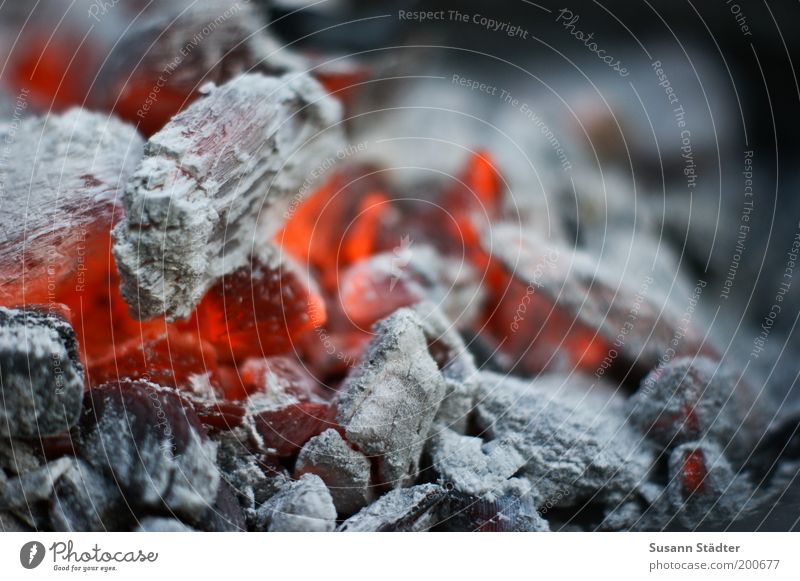 Der Sommer ist zum Grillen da glühen Feuer Brandasche heiß Wärme rot Querformat Farbfoto Außenaufnahme Detailaufnahme Makroaufnahme rotglühend