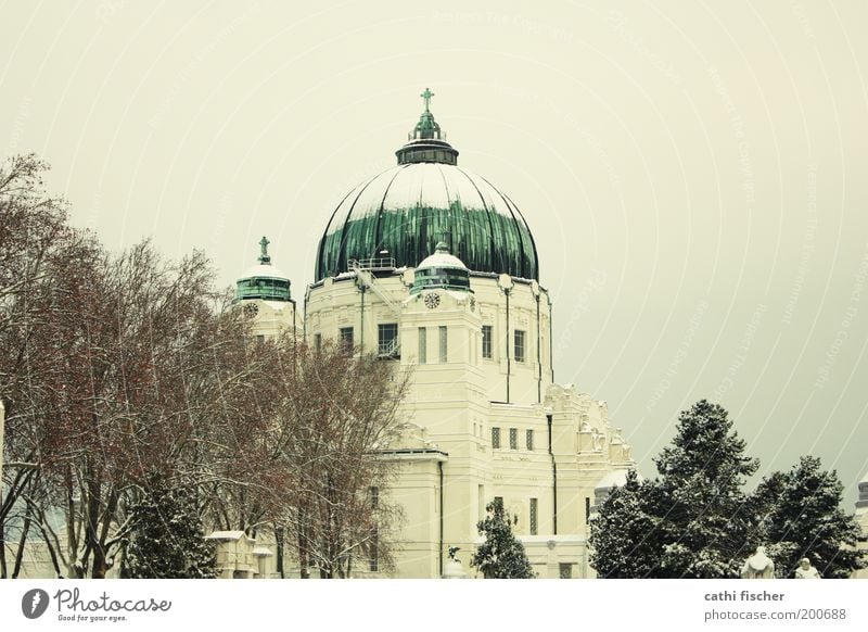 zentralfriedhof/winter Himmel Wolkenloser Himmel Winter Baum Park Wien Österreich Europa Hauptstadt Stadtrand Kirche Bauwerk Gebäude Dach Kuppeldach