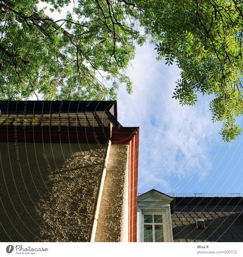 Mein Elternhaus Haus Traumhaus Baum Gebäude Architektur Mauer Wand Fassade Fenster alt gigantisch hoch Idylle Dachfenster Himmel Regenrinne Farbfoto mehrfarbig