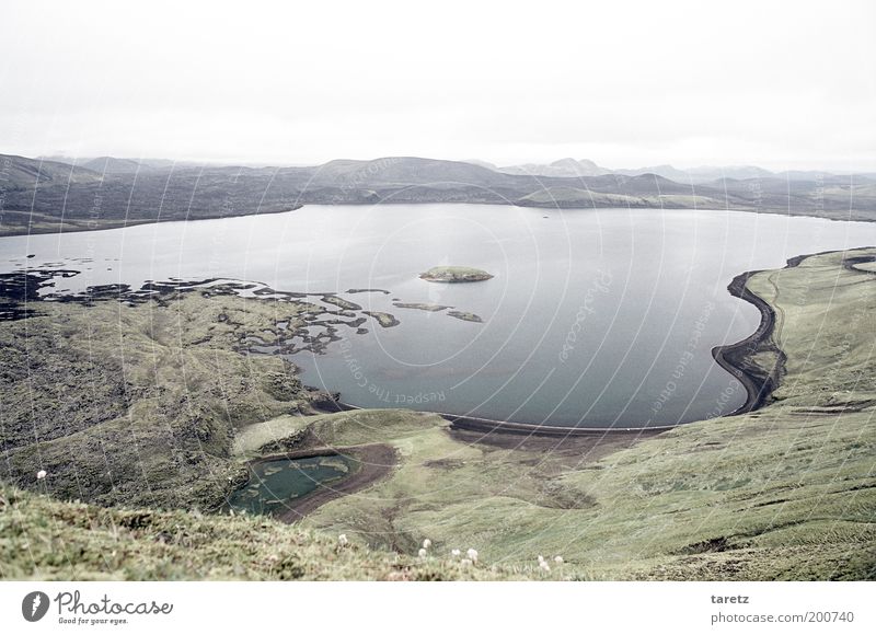 Lava, Moos und Wasser Umwelt Natur Hügel Seeufer Frostastaðavatn Einsamkeit Erholung Ferne Island kalt grau grün Landschaft Freiheit ruhig Landmannalaugar