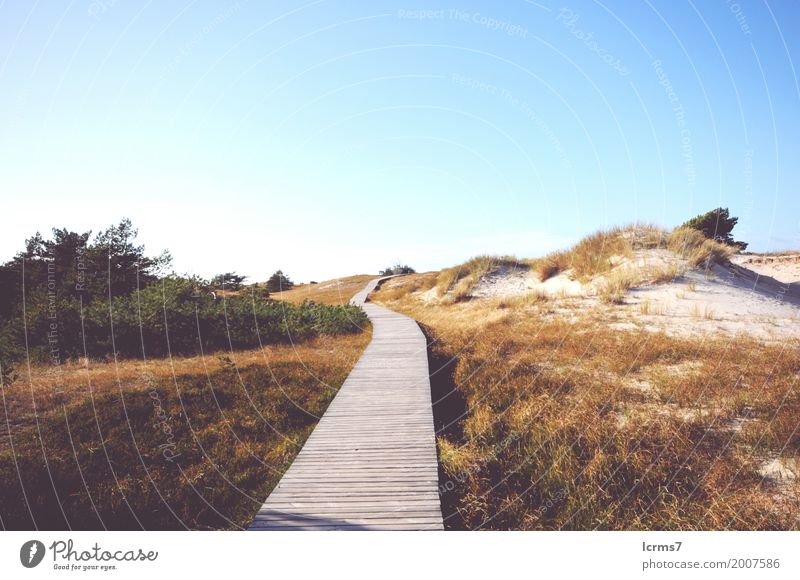 walking through the Western Pomerania Lagoon Area National Park Ferien & Urlaub & Reisen Strand Natur Dorf retro baltic coast coastal Darß darsser drasser Dunes