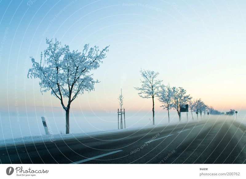 Kaltstart Umwelt Natur Landschaft Urelemente Himmel Wolkenloser Himmel Horizont Winter Schönes Wetter Nebel Eis Frost Schnee Baum Verkehr Verkehrswege Straße