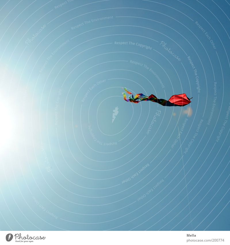 Ikarus Freizeit & Hobby Spielen Kinderspiel Lenkdrachen Freiheit Sonne Umwelt Luft Wolkenloser Himmel Sonnenlicht Spielzeug Schnur fliegen leuchten blau