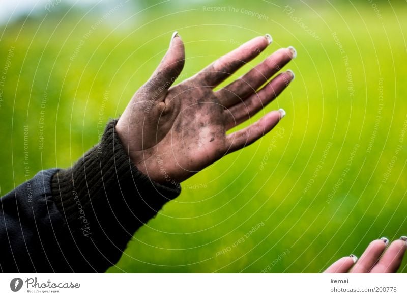 Hände wie ein Bauarbeiter Haut wandern Mensch feminin Frau Erwachsene Arme Hand Finger 1 Umwelt Natur Pflanze Grünpflanze Wiese braun grün dreckig Dreckspatz