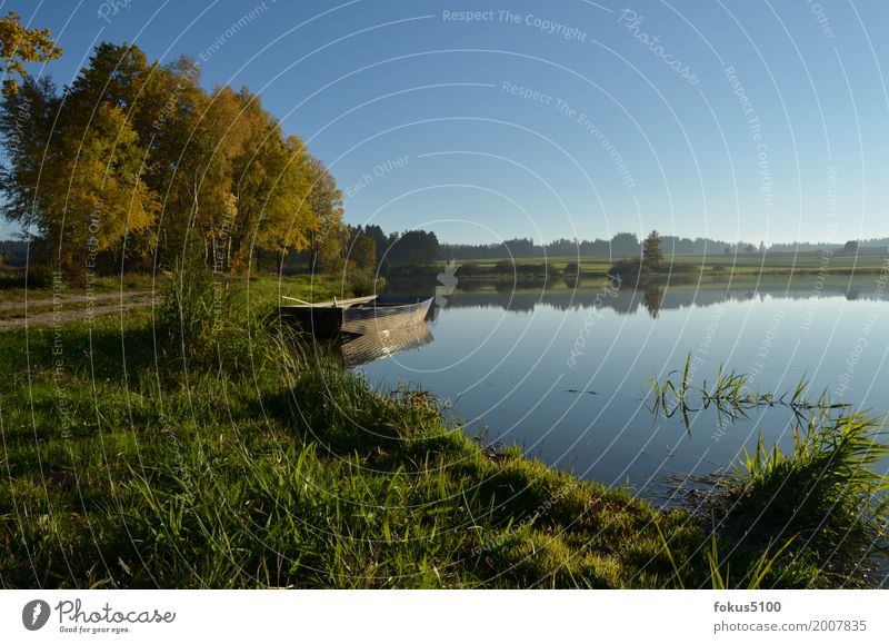 Boot am See Natur Landschaft Wasser Wolkenloser Himmel Herbst Schönes Wetter Baum Gras Seeufer Teich Ruderboot Erholung schön blau grün Farbfoto Außenaufnahme