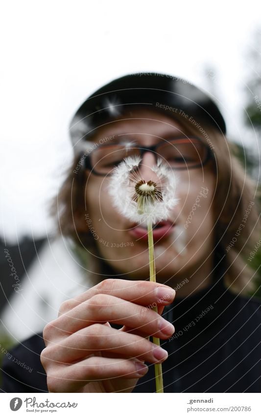 Naseweis maskulin Junger Mann Jugendliche Leben Kopf Hand 18-30 Jahre Erwachsene Pflanze Blume Atem Löwenzahn atmen Spielen verblüht Fröhlichkeit