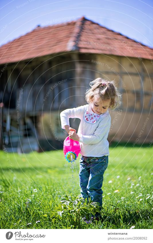 Kleiner Helfer Freiheit Sonne Gartenarbeit Wasserkanister Mensch Mädchen 1 3-8 Jahre Kind Kindheit Umwelt Natur Pflanze Himmel Wolkenloser Himmel Frühling Haus