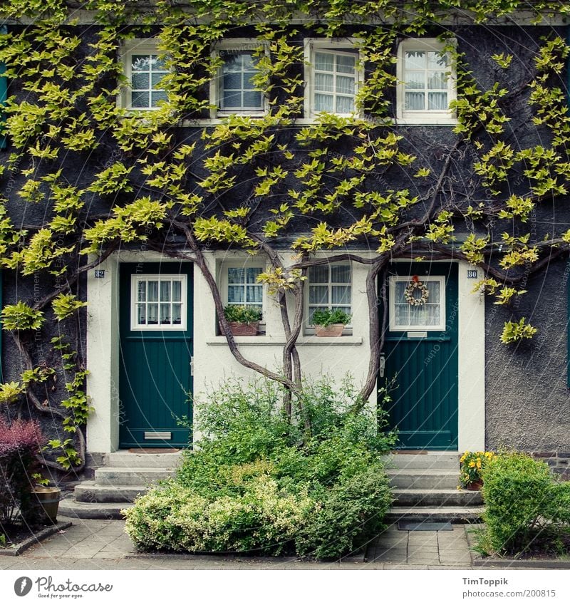 Im Wunderland #1 Haus Fassade Fassadenbegrünung Märchen Märchenschloss Tür Fenster Vorgarten Verhext Efeu Wand Mauer Butzenscheibe fantastisch Baum Ast Heimat