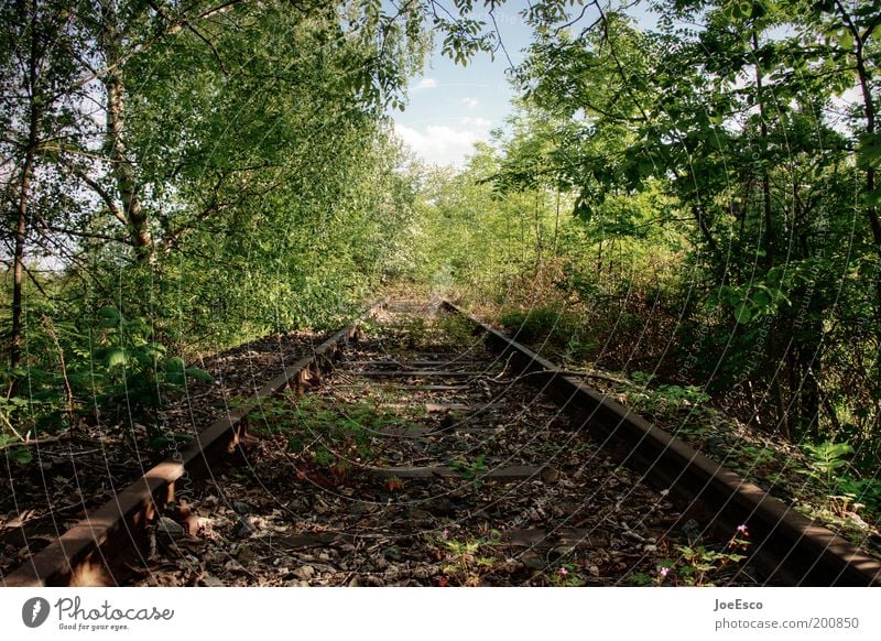 last train to... Freizeit & Hobby Ferien & Urlaub & Reisen Ausflug Freiheit Umwelt Pflanze Frühling Baum Gras Sträucher Grünpflanze Wald wild Verfall verfallen