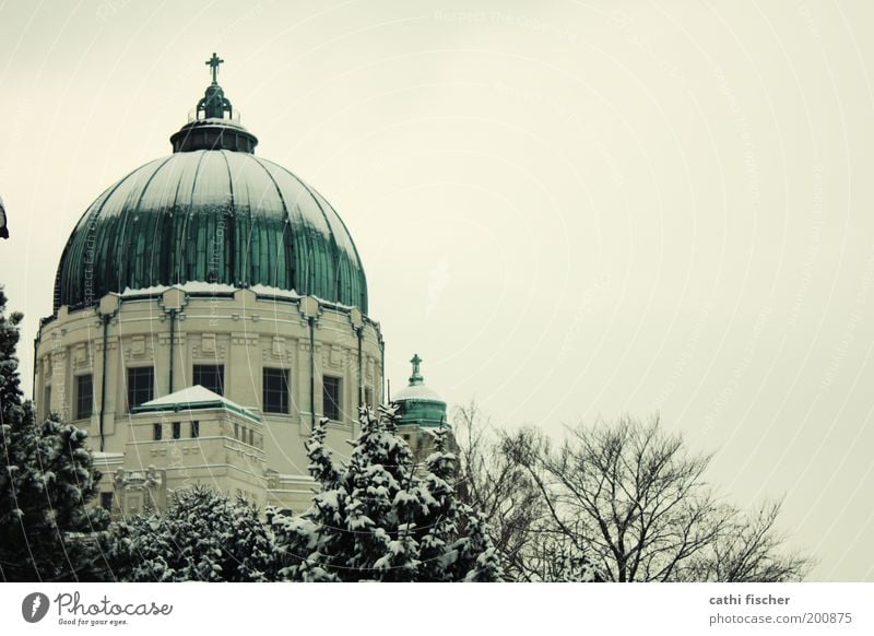 zentralfriedhof/winter III Himmel Winter Wetter Eis Frost Schnee Baum Wien Hauptstadt Stadtrand Kirche Bauwerk Gebäude Architektur gelb grau schwarz weiß kalt