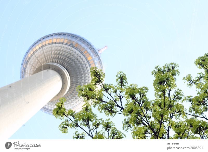 Fernsehturm im Frühling Tourismus Fernseher Technik & Technologie Sommer Baum Berlin Deutschland Europa Hauptstadt Stadtzentrum Turm Bauwerk Gebäude Architektur