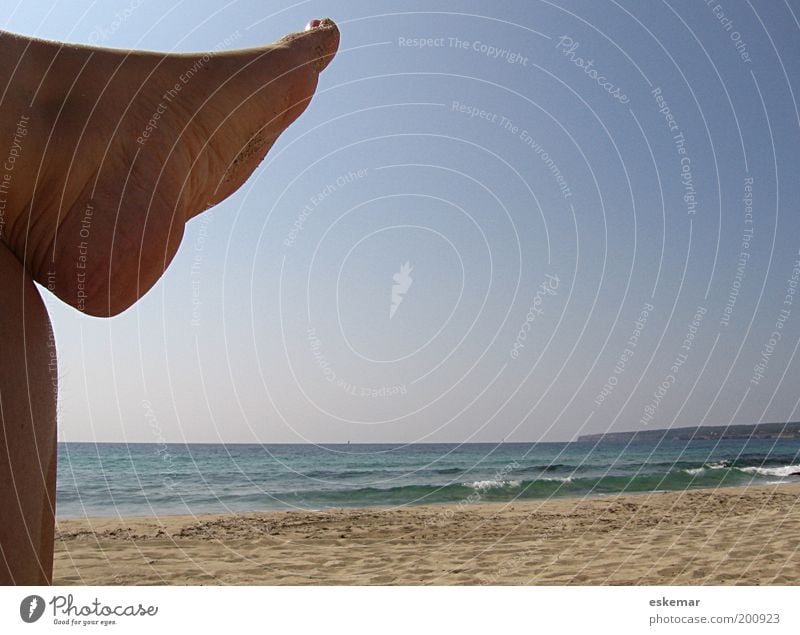 nichts. tun. Mensch Erwachsene Leben Haut Beine Fuß Zehen 1 Landschaft Sand Wasser Himmel Wolkenloser Himmel Horizont Sonnenlicht Sommer Schönes Wetter Wärme