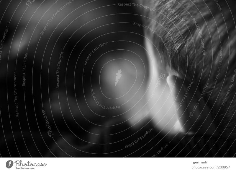 Ich seh was du nicht siehst Mensch maskulin Kind Junge Kopf Haare & Frisuren Ohr 1 3-8 Jahre Kindheit Blick Fernsehen Ohrmuschel Ohrläppchen Schwarzweißfoto