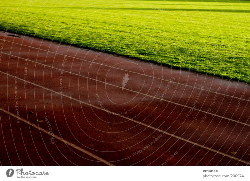 rennbahn Sport Leichtathletik Sportveranstaltung Sportstätten Fußballplatz Stadion Sonne Gras Wiese dunkel nass Wärme grün rot Linie Laufsport Sportplatz feucht