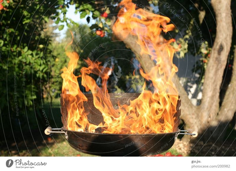 DER FLAMMENDE GRILL MK III Umwelt Natur Pflanze Feuer Baum Garten Wiese Grill heiß gelb rot gefährlich Grillen Wärme Apfel brennen Feuerstelle Feuerrost