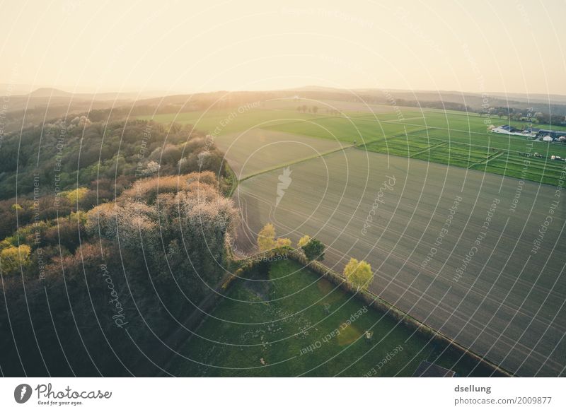 Vogelperspektive vom Bauernhof bei Abenddämmerung Umwelt Natur Landschaft Sonnenaufgang Sonnenuntergang Frühling Schönes Wetter Wiese Feld Wald Eifel frei